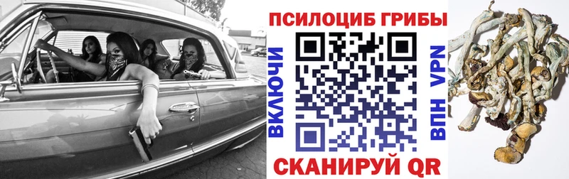 Галлюциногенные грибы Cubensis Заволжье